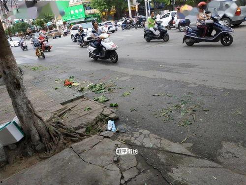 桂平最新爆料事件,揭秘事件背后惊人真相